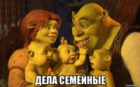  дела семейные