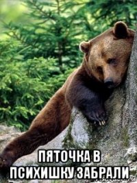  пяточка в психишку забрали
