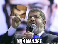  мой мандат