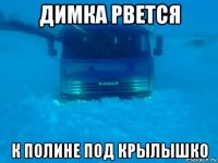 димка рвется к полине под крылышко
