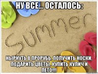 ну все... осталось: нырнуть в прорубь, получить носки, подарить цветы, купить кулич и лето!!!