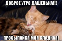 доброе утро дашенька!!! просыпайся моя сладкая!