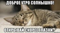 доброе утро солнышко! открывай скорее глазки:-*