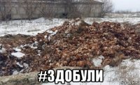  #здобули