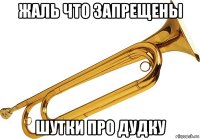жаль что запрещены шутки про дудку