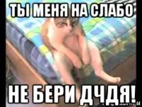 ты меня на слабо не бери дчдя!