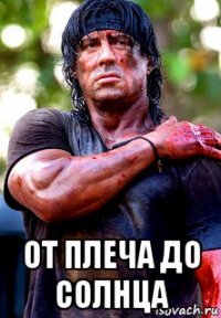  от плеча до солнца