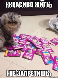 красиво жить не запретишь