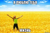 я люблю тебя жизнь