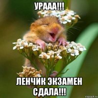 урааа!!! ленчик экзамен сдала!!!