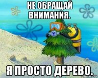 не обращай внимания. я просто дерево.