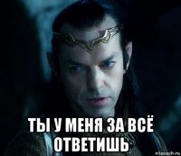  ты у меня за всё ответишь