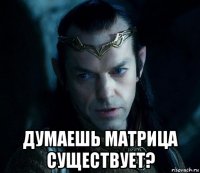  думаешь матрица существует?