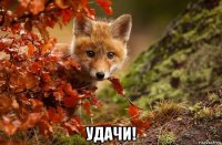  удачи!