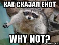 как сказал енот why not?