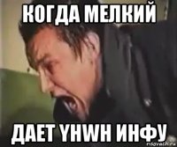 когда мелкий дает yhwh инфу