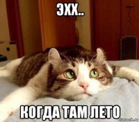 эхх.. когда там лето