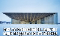  сука, тут столько коров... куда мы будем продавать все это молоко?