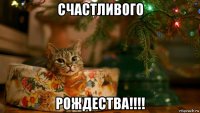 счастливого рождества!!!!