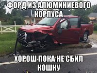 форд из алюминиевого корпуса хорош пока не сбил кошку