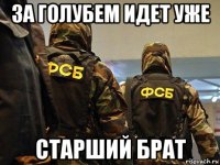 за голубем идет уже старший брат