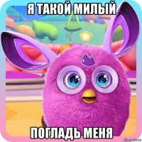 я такой милый погладь меня