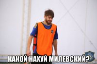  какой нахуй милевский?