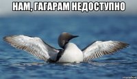 нам, гагарам недоступно 