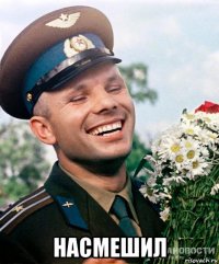  насмешил