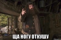  ща ногу откушу