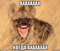 ахахахах когда ахахахах