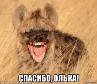  спасибо, олька!