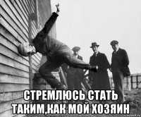  стремлюсь стать таким,как мой хозяин