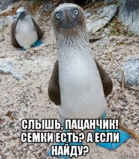  слышь, пацанчик! семки есть? а если найду?