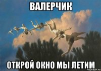 валерчик открой окно мы летим
