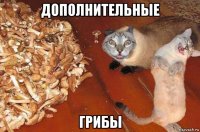 дополнительные грибы
