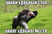 какой удобный стул какое удобное место