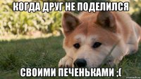 когда друг не поделился своими печеньками ;(