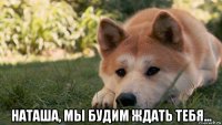  наташа, мы будим ждать тебя...