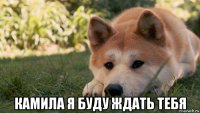  камила я буду ждать тебя