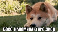  босс, напоминаю про диск