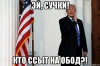 эй, сучки! кто ссыт на обод?!
