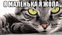 я маленька я жопа 