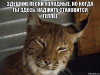 здешние пески холодные, но когда ты здесь, каджиту становится теплее 
