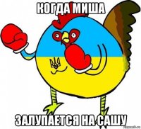 когда миша залупается на сашу
