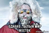  однако....белый мир жесток