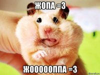 жопа =3 жоооооппа =3