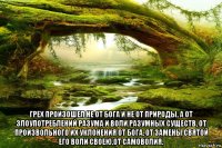  грех произошел не от бога и не от природы, а от злоупотреблений разума и воли разумных существ, от произвольного их уклонения от бога, от замены святой его воли своею,от самоволия.