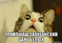  трамп наш заокеанский царь белых