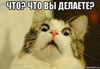 что? что вы делаете? 